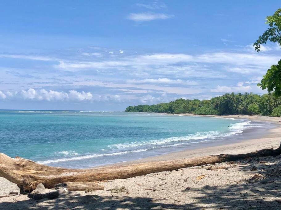 Finca Makai, Rodeado De Naturaleza, 10Min A Montezuma Villa Luaran gambar